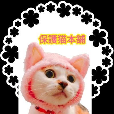 🐈保護猫本舗/西瓜の匠🍉さんのプロフィール画像