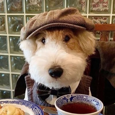 zindolii's profile picture. 일반 인간의 몸으로는 그런 그를 따라잡을 수 있을리가 없지