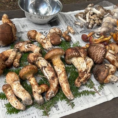 4bLbqKusl239129's profile picture. 