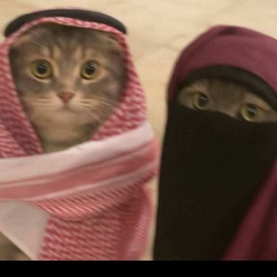 قَصَدتُك مِن كُل الجهات مناديًا
أجِرني مِن القيدِ الذي شدّ مِعصَمي .