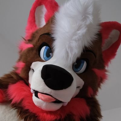 32 || 🇨🇦 || Healthcare || Bear || Husky || Foodie || Ukulele || Travel || He/Him || 💖@StuckindaRut 💍💚
Suits from: @MadeFurYou & @KigurumiKagetsu