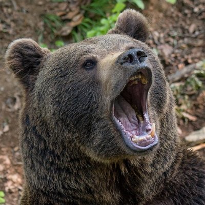 CitizenRaga's profile picture. Hobbies include: Ninja skills 🥷 , reading, bad takes. PlayStation, Xbox, Nintendo, PC gaming