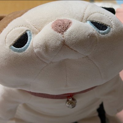 ゆっぴーページ ゆっぴ (@19901204Yuka) / Posts / X