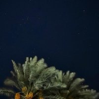 Mimi (@mh44r) 's Twitter Profile Photo