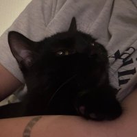 “래”오 (@pangi633680) 's Twitter Profile