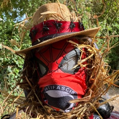 Blacklisted union activist & author tweeting about: #blacklisting #spycops #union organising - health & #safety - anti-fascism