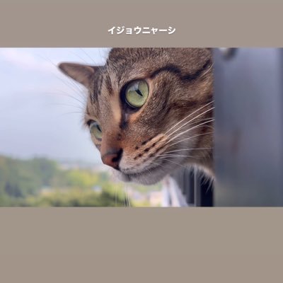 アラサー。色んなオタクです。 猫好き、柴好き、高知が好き、高知家♡ 勧誘、お金配り等変なアカウントはブロックします⚠️