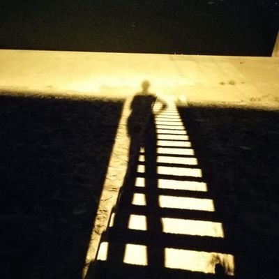 ایران یک نام نیست . یک فرهنگ است.مشروطه بدون مشروعه! بعد بیش از یک قرن دست یافتنی شده باور کنید.عاشق گربه ایرانی، عاشق این ملت هستم.❤️🤍💚
پاینده ایران