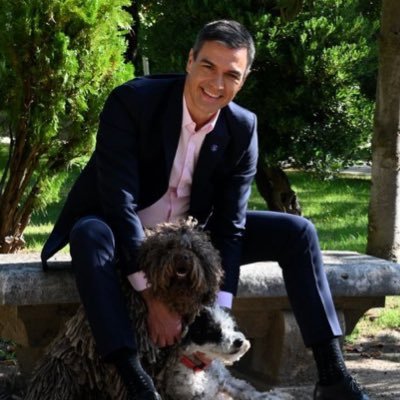 SanchezPerroHDP's profile picture. 