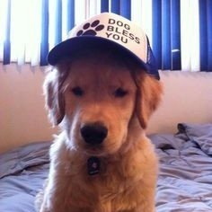 sannnprs_'s profile picture. sialnya, hidup harus tetap berjalan