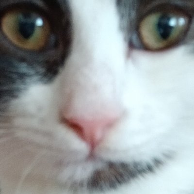 Z☆NEさんのプロフィール画像