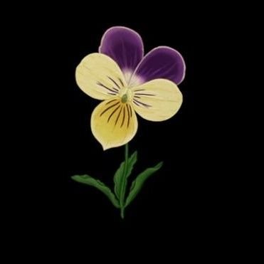 esone_serge's profile picture. 