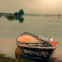 Yash Singh (@yashsinghtomar_) 's Twitter Profile
