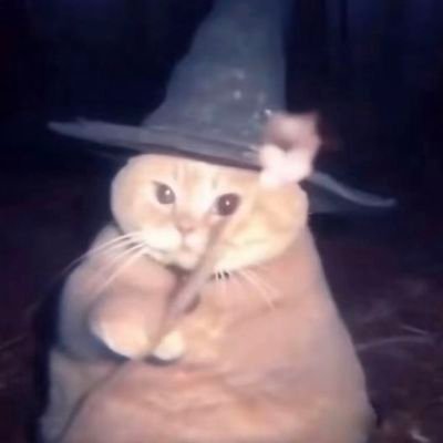 sparx___'s profile picture. Proud Malaysian 🇲🇾 Help people of Gaza to survive by sharing and donating to their personal fundraising campaigns https://t.co/U2ZzJ1jabB