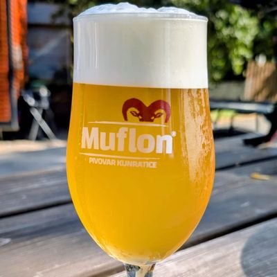 Vasek71's profile picture. ❤️💛💙