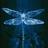 Profile Picture of Laura-Jean Edeling (@@Lj_Edeling) on Twitter