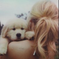 bar 🧡 (@ivyhidden) 's Twitter Profile