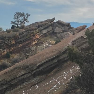 OutDems48241's profile picture. 
