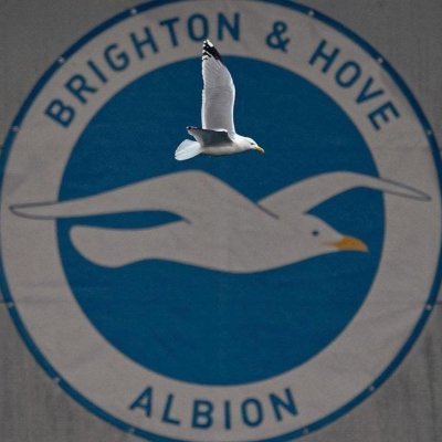 B_gulls's profile picture. Esasen Brighton odaklı fakat tüm Premier Lig'i konu alan futbol sayfası. Bu bir öğrencinin hobi işidir, tüm futbolseverler davetlidir.