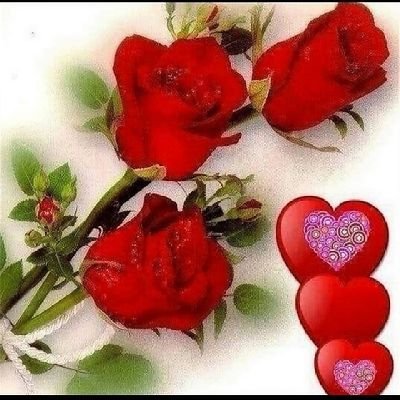 من لم يطرق بابنا والروح ترتجف
فلا مرحباً به والنبض منتظم 🌺