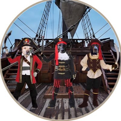 Labradors Henry 💛 Olly 🖤 and Beth 🤎#ZombieSquad #TheAviators #theruffriderz #XPSHQ 🌈 Baxter, Abbey, Rupert, Ozzie, Dogger, Jasper & Ralph 🌈
