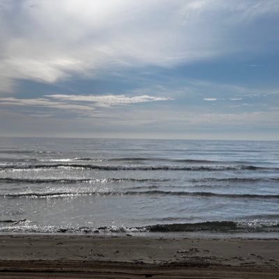 Millitar_ro's profile picture. 