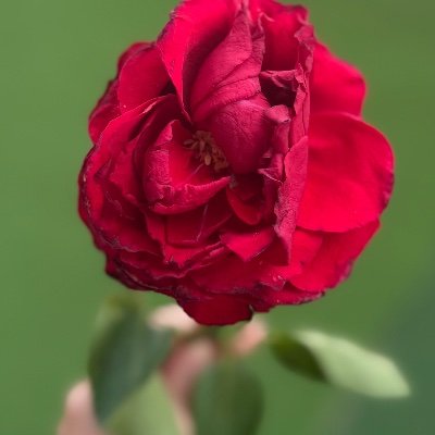 8d7h51l's profile picture. 