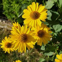 Comrade Matt 🇪🇺🇵🇱🇰🇪🇦🇪 (@comrade_matt_ff) 's Twitter Profile Photo