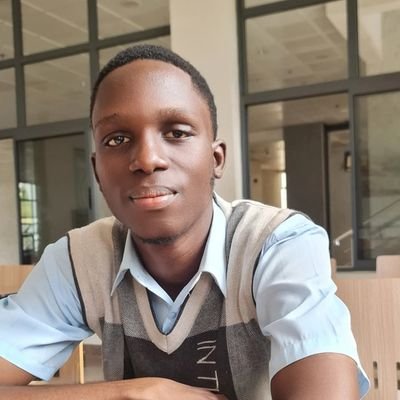 FestusHub's profile picture. Helping businesses grow with social media, web design & lead generation | Rising Talent on Upwork | Also on Fiverr