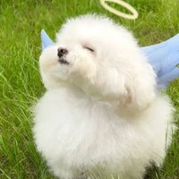 LesleyTerry (@hgo1tpyv2pijirs) 's Twitter Profile