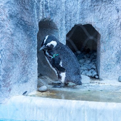 holdtheline_u's profile picture. 恋愛悩んでこじらせたりひとの悩みに共感したり。みんな幸せになってほしいよ