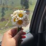 bharti_jamwal4's profile picture. Environmentalist
