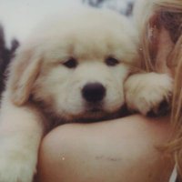 MAZIE'S GIRL (@fluffybarbies) 's Twitter Profile