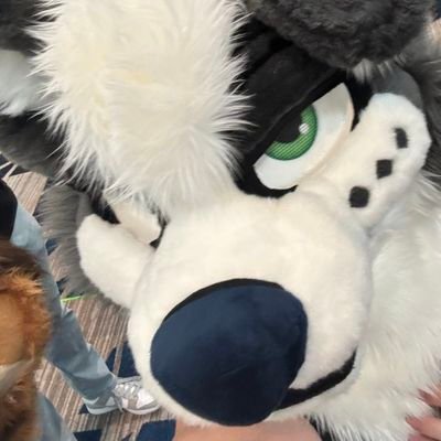 vrc enthusiast/Creator/Custom modeler/ femboyavatar/furry/fursona/Engineering