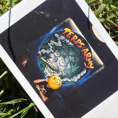 TdexLab's profile picture. 🌺Indoor cultivation specialist 🍬Premium edibles producer 🥉– Flowers (Calyx Art Club🇨🇿)🥇– Edibles (Munch&Roll Cup🇪🇸) 🔄 Original acc deleted at 1.3k