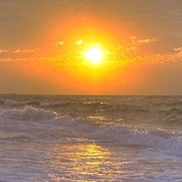 sword (@abdullahab88926) 's Twitter Profile
