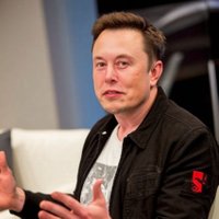 Elon (@elon__021_) 's Twitter Profile
