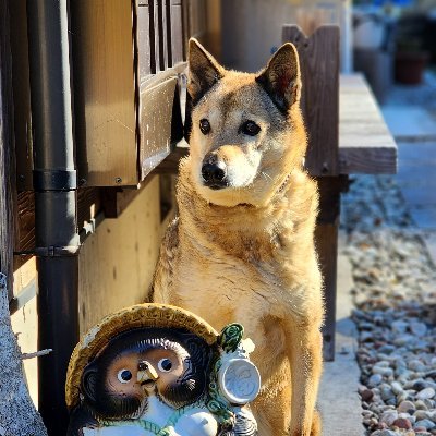 yosihiro2438's profile picture. お疲れ様でした
田舎暮らし２０年目　忙しさに慣れた・・