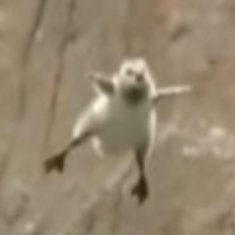 cnnrsgmd's profile picture. 