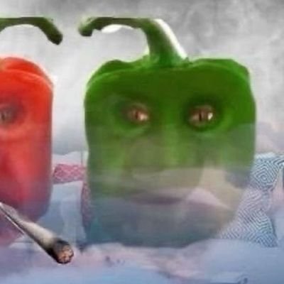 sarocatulla's profile picture. eu e o cabo didi jogando lol