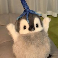 Sitampan (@h0gwarts2) 's Twitter Profile