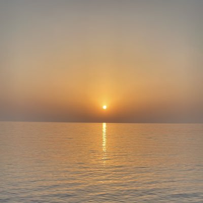 AbwmwydD's profile picture. 