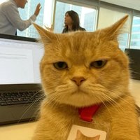 Smontgo (@smontgo2) 's Twitter Profile