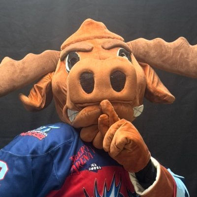 BrucetheMNMoose's profile picture. The Official X Page of the most chaotic Mascot in the entire NA3HL...Minnesota Moose's own...Bruce the Moose