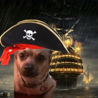 Vinnie The Fierce Zombie Hunter 🧌 (@vinnie958269385) 's Twitter Profile Photo Vinnie The Fierce Zombie Hunter 🧌 (@vinnie958269385) 's Twitter Profile Photo