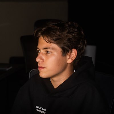 martinbuberl11's profile picture. 17, co-founder @pentamerusquant