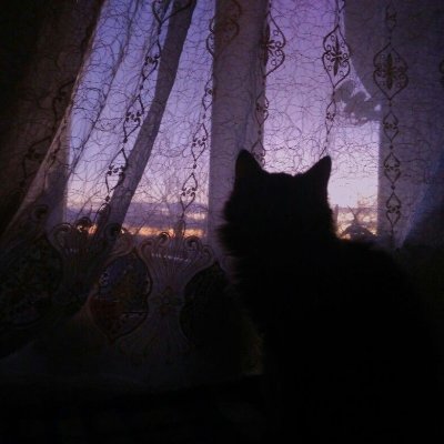 local85905155's profile picture. haii