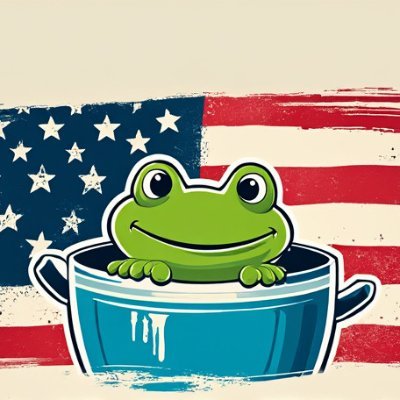 BoiledFrogUSA's profile picture. memory hole counter-agent for people who remember