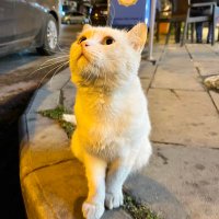 Beyz🫶🏻 (@beyzss02) Twitter profile photo