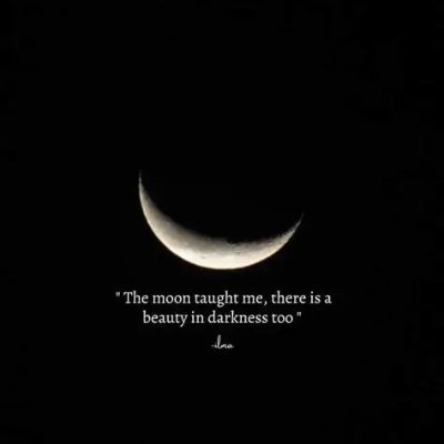 zeynaly37's profile picture. 